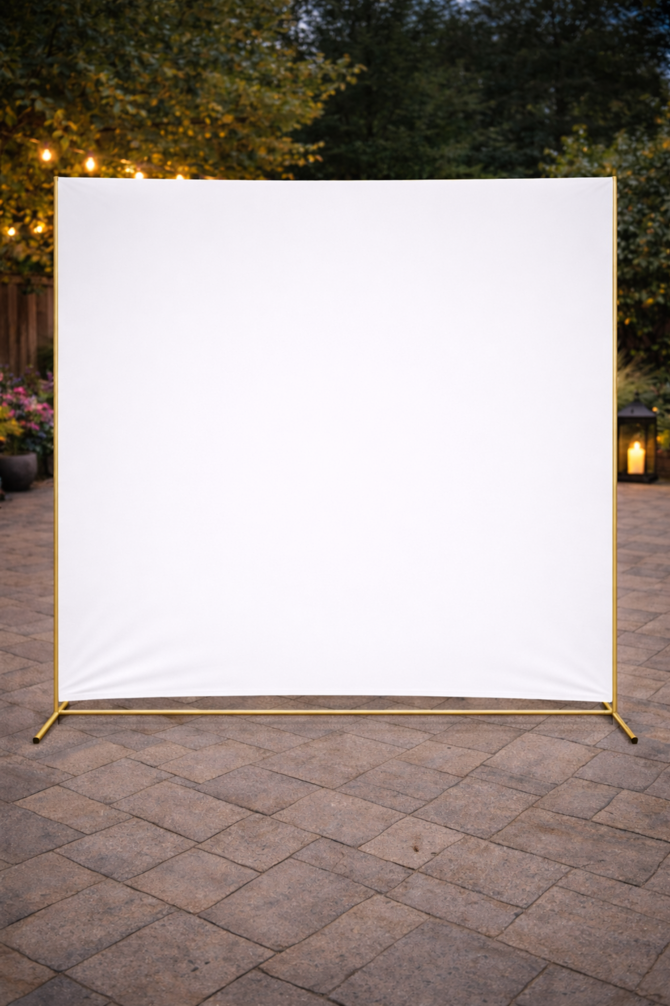 Photo Background